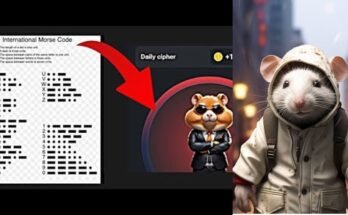 Hamster Kombat Daily Cipher Code