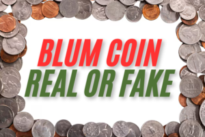 Blum coin real or fake