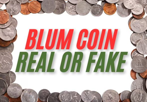 Blum coin real or fake